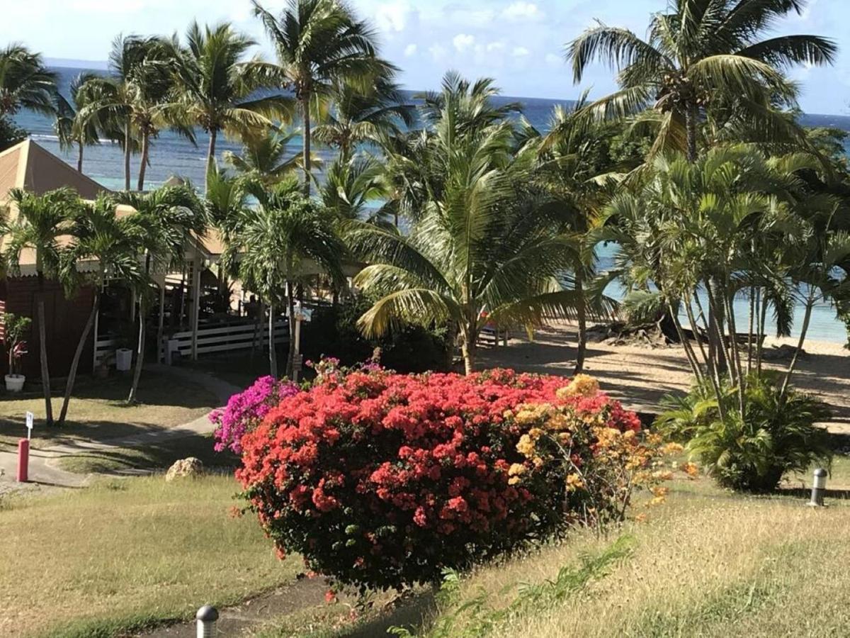 Studio Mojito Vue Mer,Piscine Avec Cuve Eau Et Acces Plage Et Piscine Anse Des Rochers Saint-Francois  Zewnętrze zdjęcie