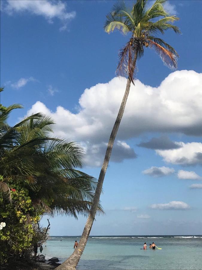 Studio Mojito Vue Mer,Piscine Avec Cuve Eau Et Acces Plage Et Piscine Anse Des Rochers Saint-Francois  Zewnętrze zdjęcie