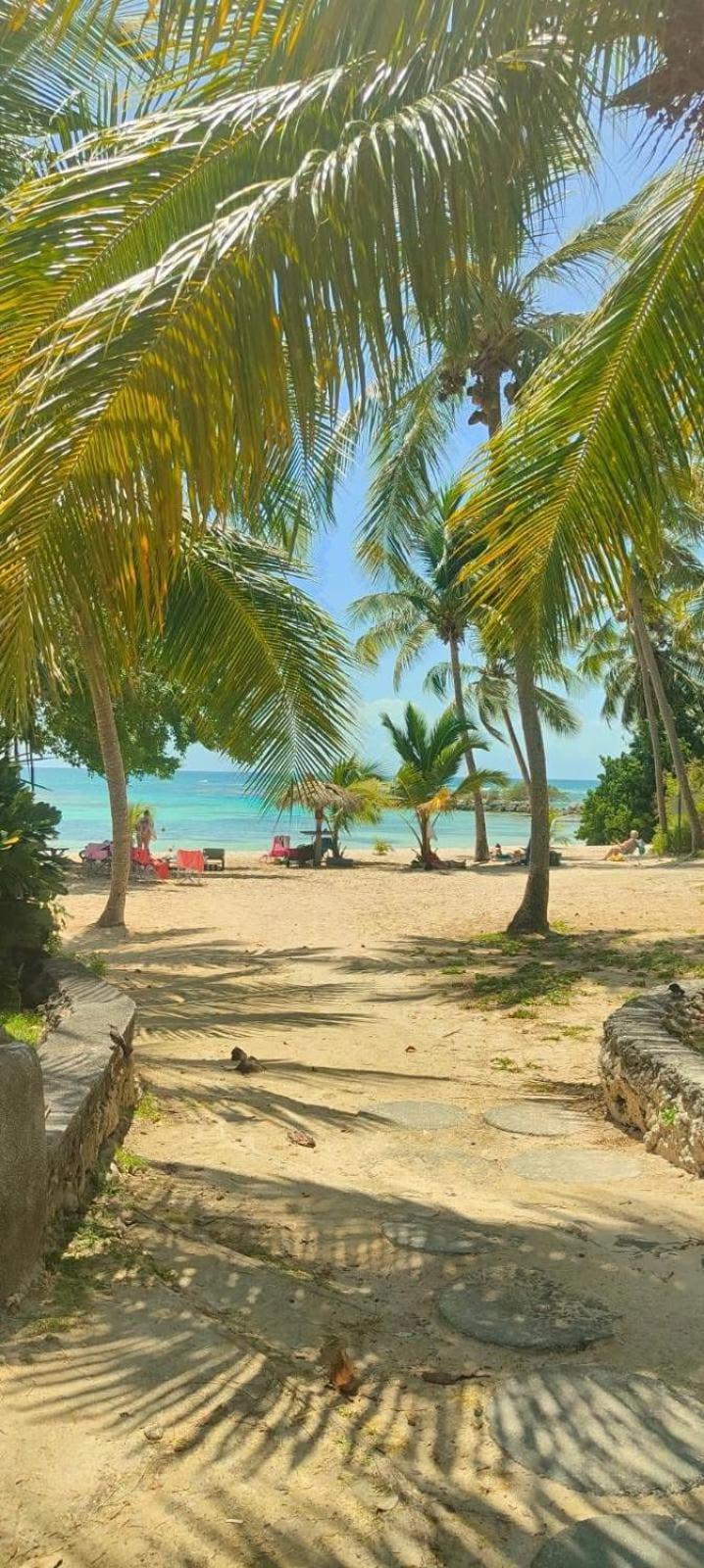 Studio Mojito Vue Mer,Piscine Avec Cuve Eau Et Acces Plage Et Piscine Anse Des Rochers Saint-Francois  Zewnętrze zdjęcie
